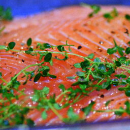 Mother’s Ruin (Sakura Gin) Cured Salmon