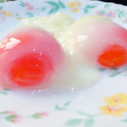 Onsen-styled eggs with my Sousvide.